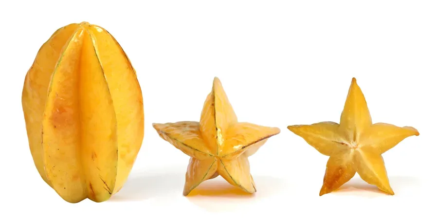 Cultivo y cuidados botánicos de Frutos Peculiares: Guía Completa de Cuidados, Riego y Cultivo