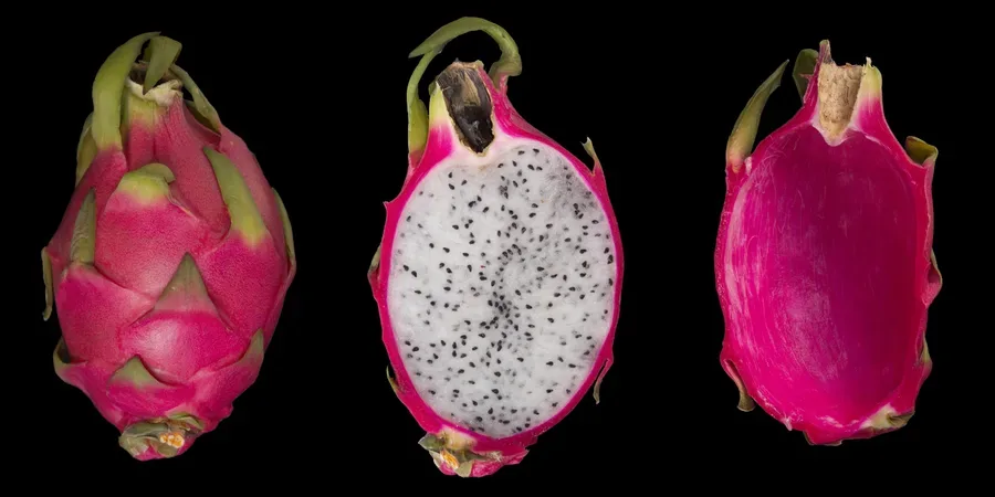 Cultivo y cuidados botánicos de Pitaya o Fruta del Dragón