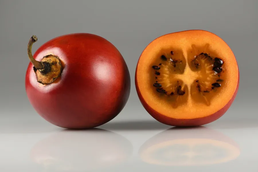 Cultivo y cuidados botánicos de Tamarillo o Tomate de árbol