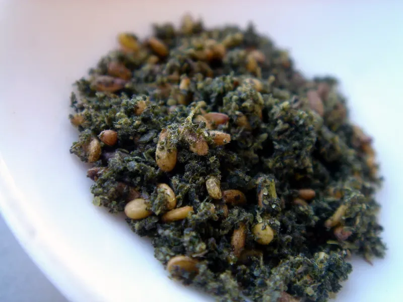 Cultivo y cuidados botánicos de Za'atar